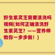 野生紫灵芝需要清洗吗视频(如何正确清洗野生紫灵芝？——营养师教你一步步做！)