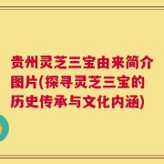 贵州灵芝三宝由来简介图片(探寻灵芝三宝的历史传承与文化内涵)