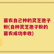 菌农自己种的灵芝孢子粉(自种灵芝孢子粉的菌农成功丰收)