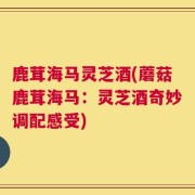 鹿茸海马灵芝酒(蘑菇鹿茸海马：灵芝酒奇妙调配感受)
