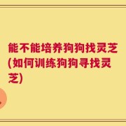 能不能培养狗狗找灵芝(如何训练狗狗寻找灵芝)