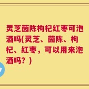 灵芝茵陈枸杞红枣可泡酒吗(灵芝、茵陈、枸杞、红枣，可以用来泡酒吗？)