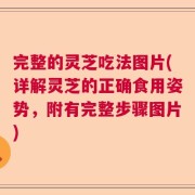 完整的灵芝吃法图片(详解灵芝的正确食用姿势，附有完整步骤图片)