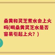 桑黄和灵芝煮水会上火吗(喝桑黄灵芝水是否容易引起上火？)