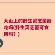 大山上的野生灵芝菌能吃吗(野生灵芝菌可食用吗？)