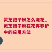 灵芝孢子粉怎么浇花_灵芝孢子粉在花卉养护中的应用方法