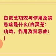 白灵芝功效与作用及禁忌症是什么(白灵芝：功效、作用及禁忌症！)