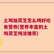 土鸡加灵芝怎么炖好吃有营养(营养丰富的土鸡灵芝炖法推荐)