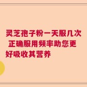 灵芝孢子粉一天服几次 正确服用频率助您更好吸收其营养
