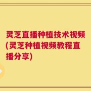 灵芝直播种植技术视频(灵芝种植视频教程直播分享)