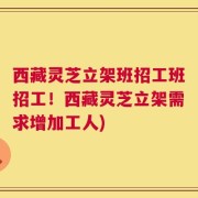 西藏灵芝立架班招工班招工！西藏灵芝立架需求增加工人)