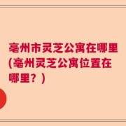 亳州市灵芝公寓在哪里(亳州灵芝公寓位置在哪里？)