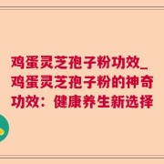 鸡蛋灵芝孢子粉功效_鸡蛋灵芝孢子粉的神奇功效：健康养生新选择