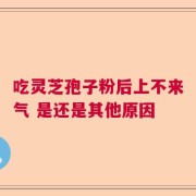 吃灵芝孢子粉后上不来气 是还是其他原因