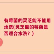 有莓菌的灵芝能不能用水洗(灵芝里的莓菌是否适合水洗？)