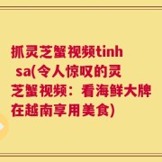 抓灵芝蟹视频tinh sa(令人惊叹的灵芝蟹视频：看海鲜大牌在越南享用美食)