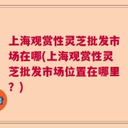 上海观赏性灵芝批发市场在哪(上海观赏性灵芝批发市场位置在哪里？)
