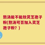 熬汤能不能放灵芝孢子粉(熬汤可否加入灵芝孢子粉？)