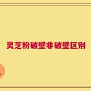 灵芝粉破壁非破壁区别