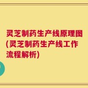灵芝制药生产线原理图(灵芝制药生产线工作流程解析)