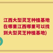 江西大型灵芝种植基地在哪里江西哪里可以找到大型灵芝种植基地)