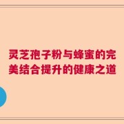 灵芝孢子粉与蜂蜜的完美结合提升的健康之道