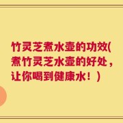竹灵芝煮水壶的功效(煮竹灵芝水壶的好处，让你喝到健康水！)