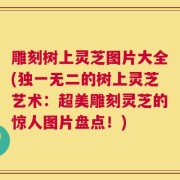 雕刻树上灵芝图片大全(独一无二的树上灵芝艺术：超美雕刻灵芝的惊人图片盘点！)