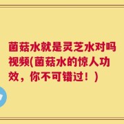 菌菇水就是灵芝水对吗视频(菌菇水的惊人功效，你不可错过！)