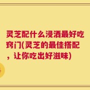 灵芝配什么浸洒最好吃窍门(灵芝的最佳搭配，让你吃出好滋味)