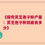 《探究灵芝孢子粉产量：灵芝孢子粉到底有多少》