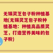 无锡灵芝包子粉种植基地(无锡灵芝包子粉种植基地：种植高品质灵芝，打造营养美味的包子粉)