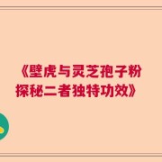 《壁虎与灵芝孢子粉 探秘二者独特功效》