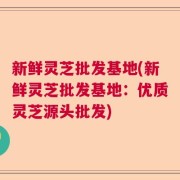 新鲜灵芝批发基地(新鲜灵芝批发基地：优质灵芝源头批发)
