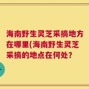海南野生灵芝采摘地方在哪里(海南野生灵芝采摘的地点在何处？
