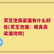 灵芝泡高粱酒有什么好处(灵芝泡酒：提高高粱酒功效)