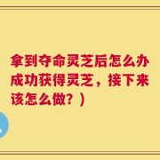 拿到夺命灵芝后怎么办成功获得灵芝，接下来该怎么做？)