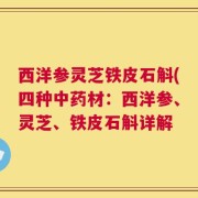 西洋参灵芝铁皮石斛(四种中药材：西洋参、灵芝、铁皮石斛详解