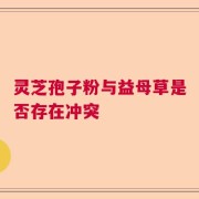 灵芝孢子粉与益母草是否存在冲突