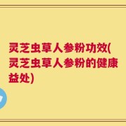 灵芝虫草人参粉功效(灵芝虫草人参粉的健康益处)