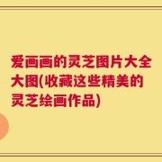 爱画画的灵芝图片大全大图(收藏这些精美的灵芝绘画作品)