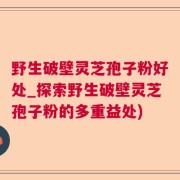 野生破壁灵芝孢子粉好处_探索野生破壁灵芝孢子粉的多重益处)