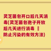 灵芝菌包开口后几天消毒(灵芝菌包孢子开放后几天进行消毒 – 防止污染的有效方法)