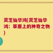 灵芝仙华鸿(灵芝仙华鸿：草原上的神奇之物)