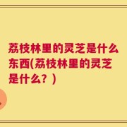 荔枝林里的灵芝是什么东西(荔枝林里的灵芝是什么？)