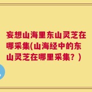 妄想山海里东山灵芝在哪采集(山海经中的东山灵芝在哪里采集？)