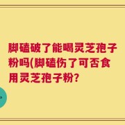 脚磕破了能喝灵芝孢子粉吗(脚磕伤了可否食用灵芝孢子粉？