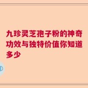 九珍灵芝孢子粉的神奇功效与独特价值你知道多少