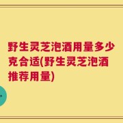 野生灵芝泡酒用量多少克合适(野生灵芝泡酒推荐用量)