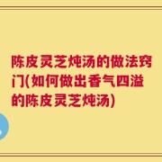 陈皮灵芝炖汤的做法窍门(如何做出香气四溢的陈皮灵芝炖汤)